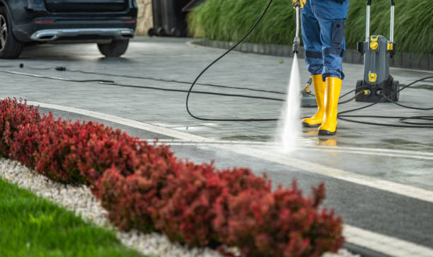 Best Best Pressure Washing Companies  in Port Angeles East, WA