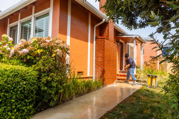 Best Roof Pressure Washing  in Port Angeles East, WA